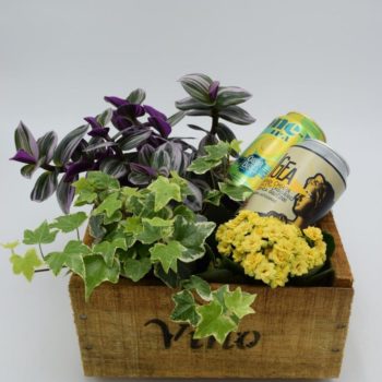 Gluten free Wood Box