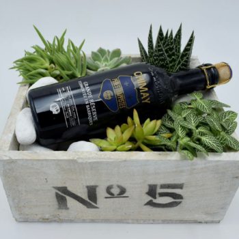 Grande Reserve Wood Box